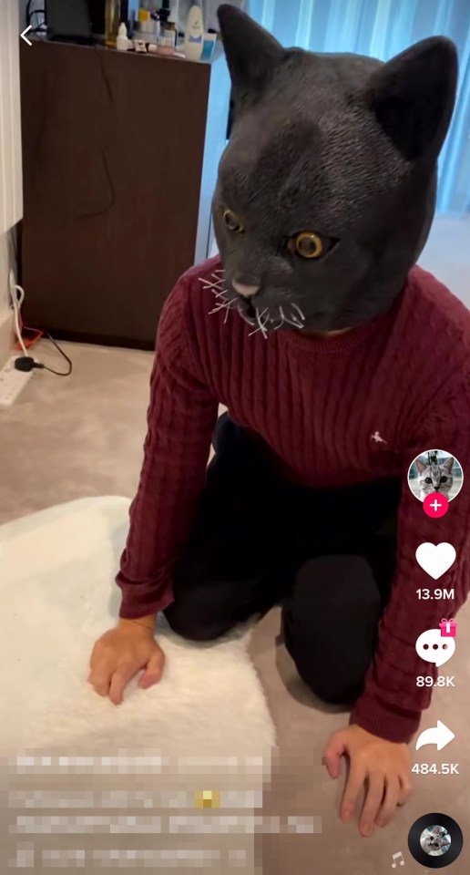 Animal Cruelty On The Rise On Tiktok In Some Videos, The Owners Wore Giant Cat Masks To Scare Their Pets.