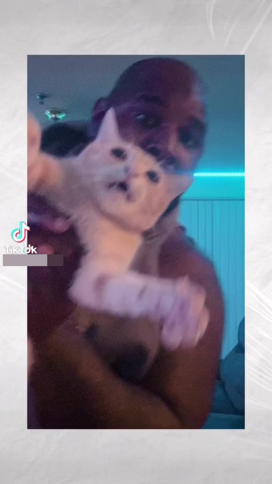 Animal Cruelty On The Rise On Tiktok Tiktok Told Us That There Is