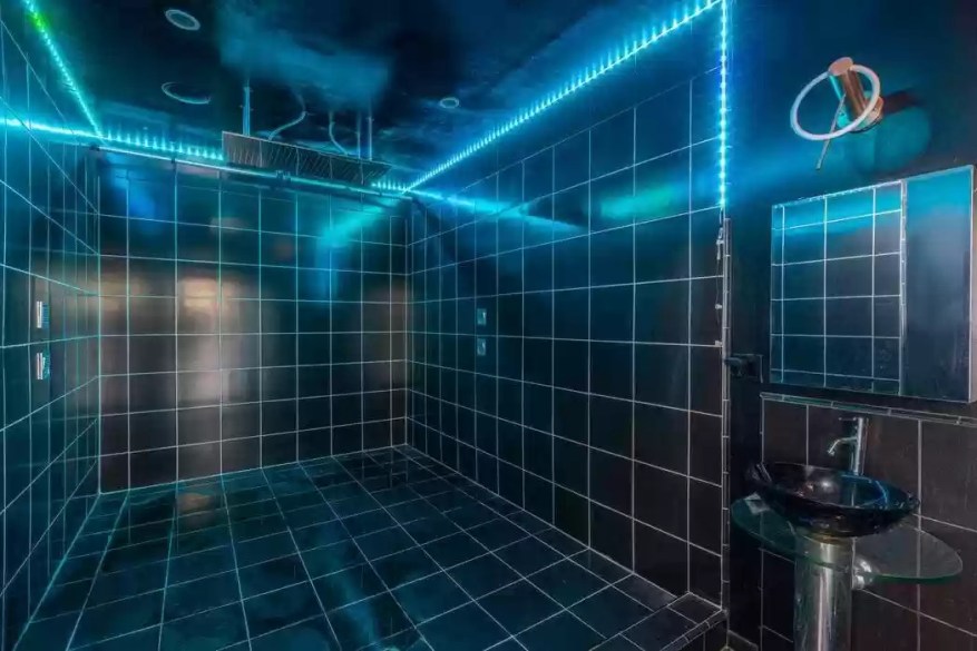£8.4M Mansion Shocks House Hunters, Decor 'Like A Sex Cult' One Shower Inspired By Tron
