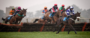 Horse Racing
